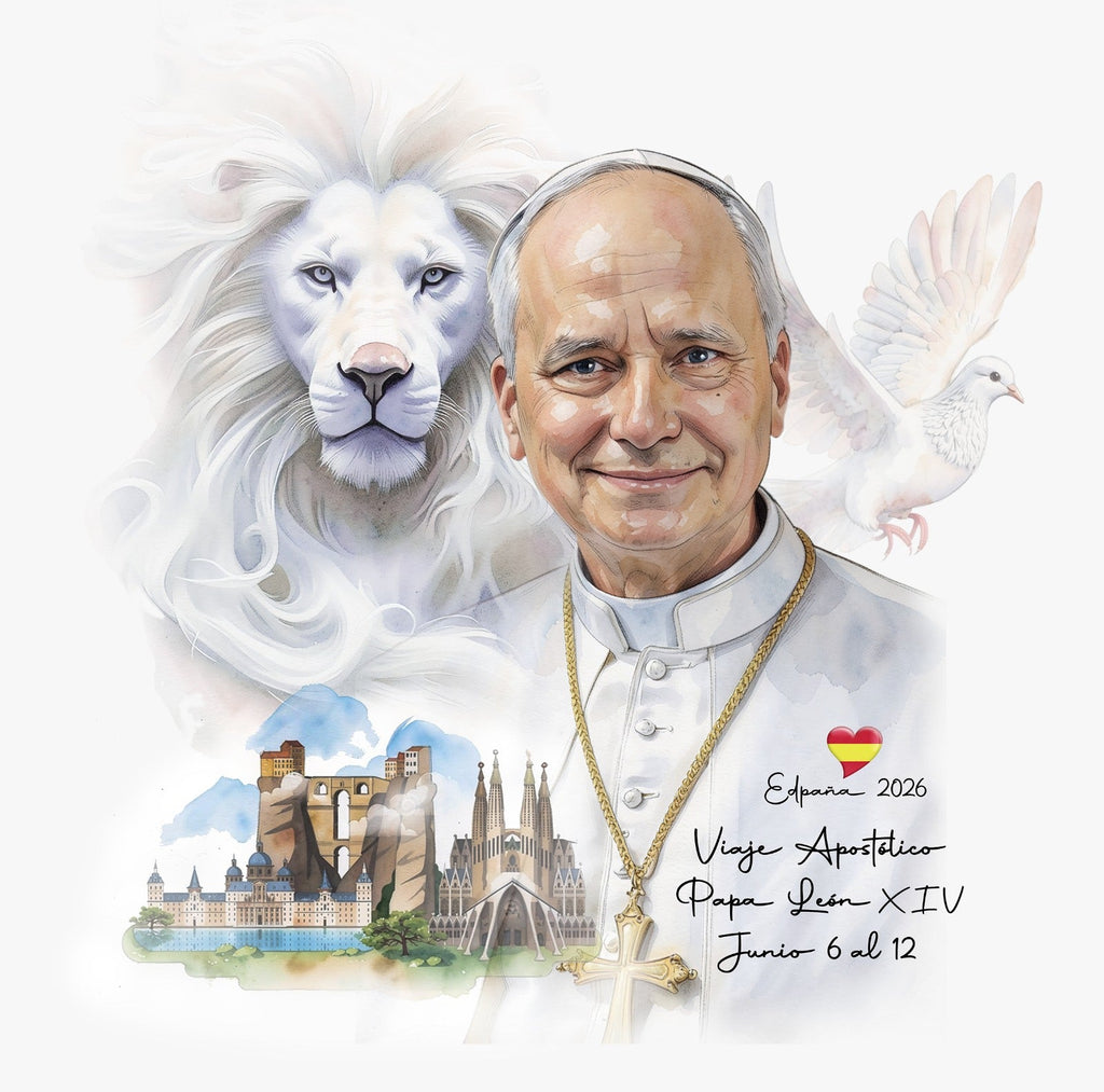 CAMISETA / VISITA PAPA LEON XIV
