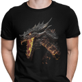 CAMISETA / SUDADERA DRANGO DE FUEGO