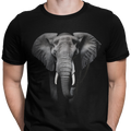 CAMISETA / SUDADERA ELEFANTE AFRICANO