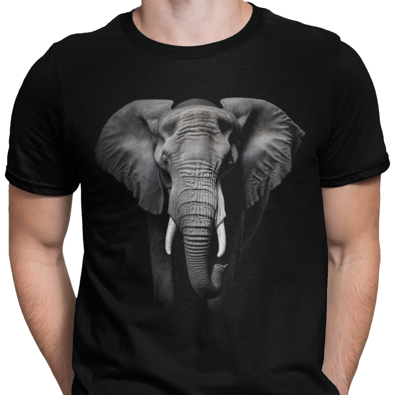 CAMISETA / SUDADERA ELEFANTE AFRICANO