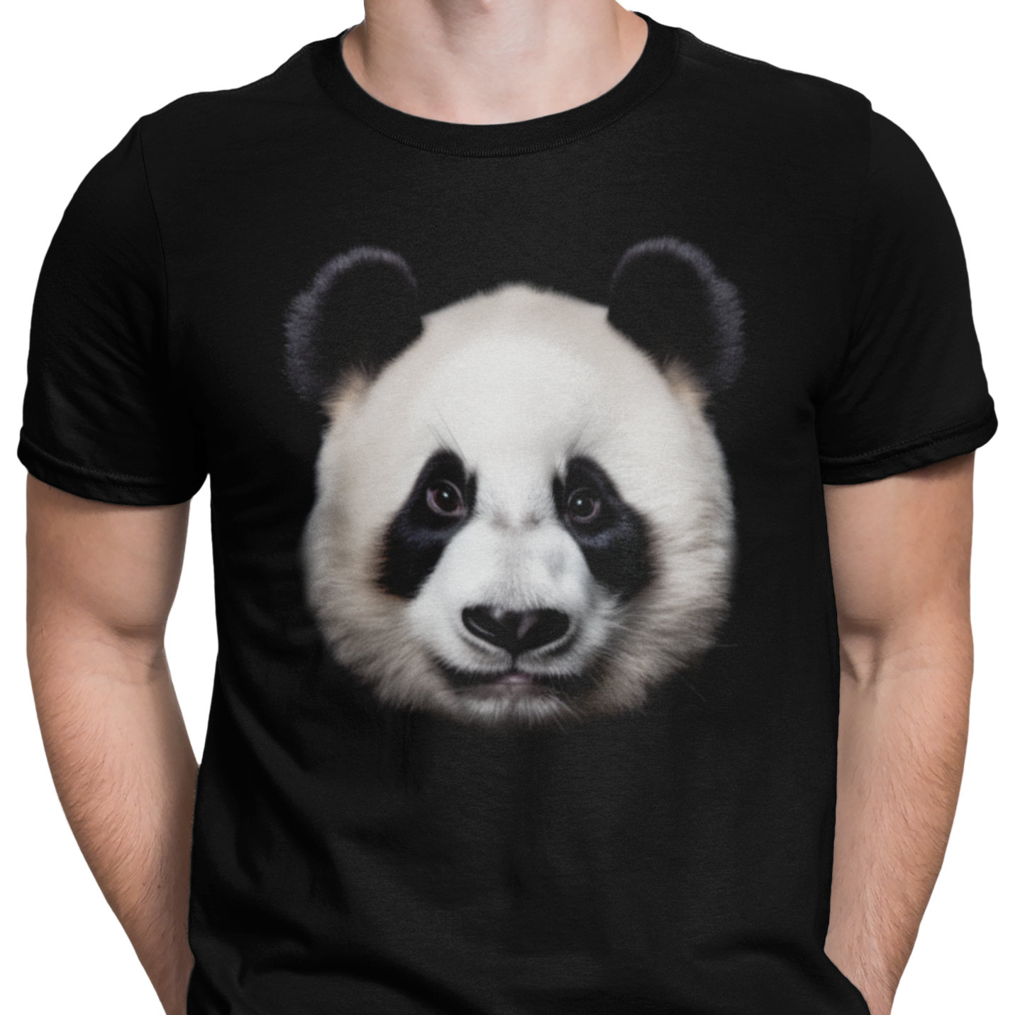 CAMISETA / SUDADERA CARA OSO PANDA