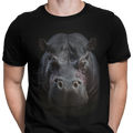 CAMISETA / SUDADERA HIPOPOTAMO AFRICANO