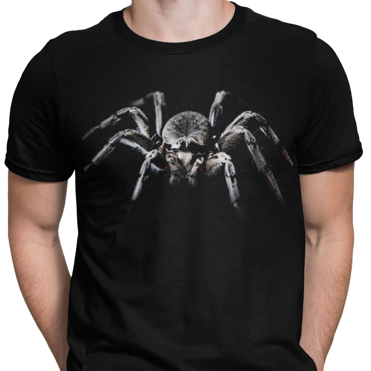 CAMISETA / SUDADERA TARANTULA