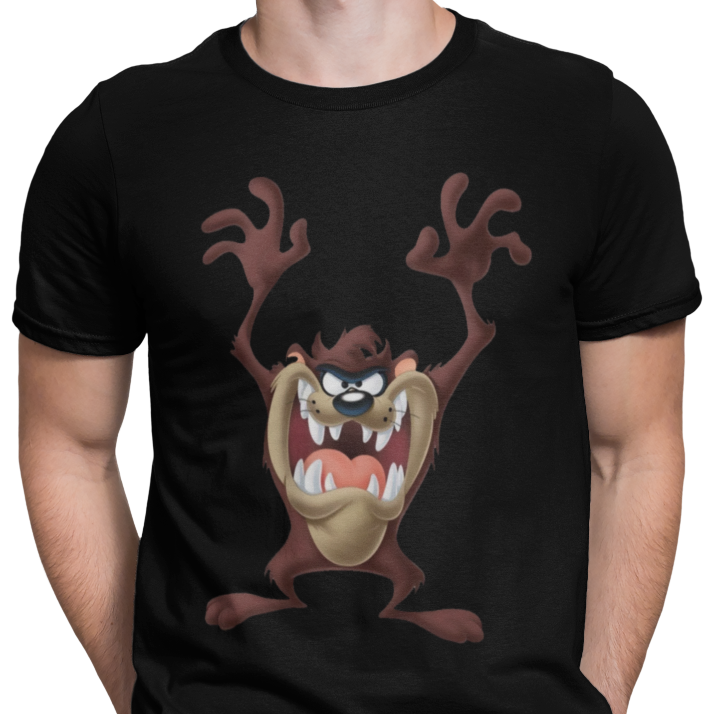 CAMISETA / SUDADERA DEMONIO DE TASMANIA