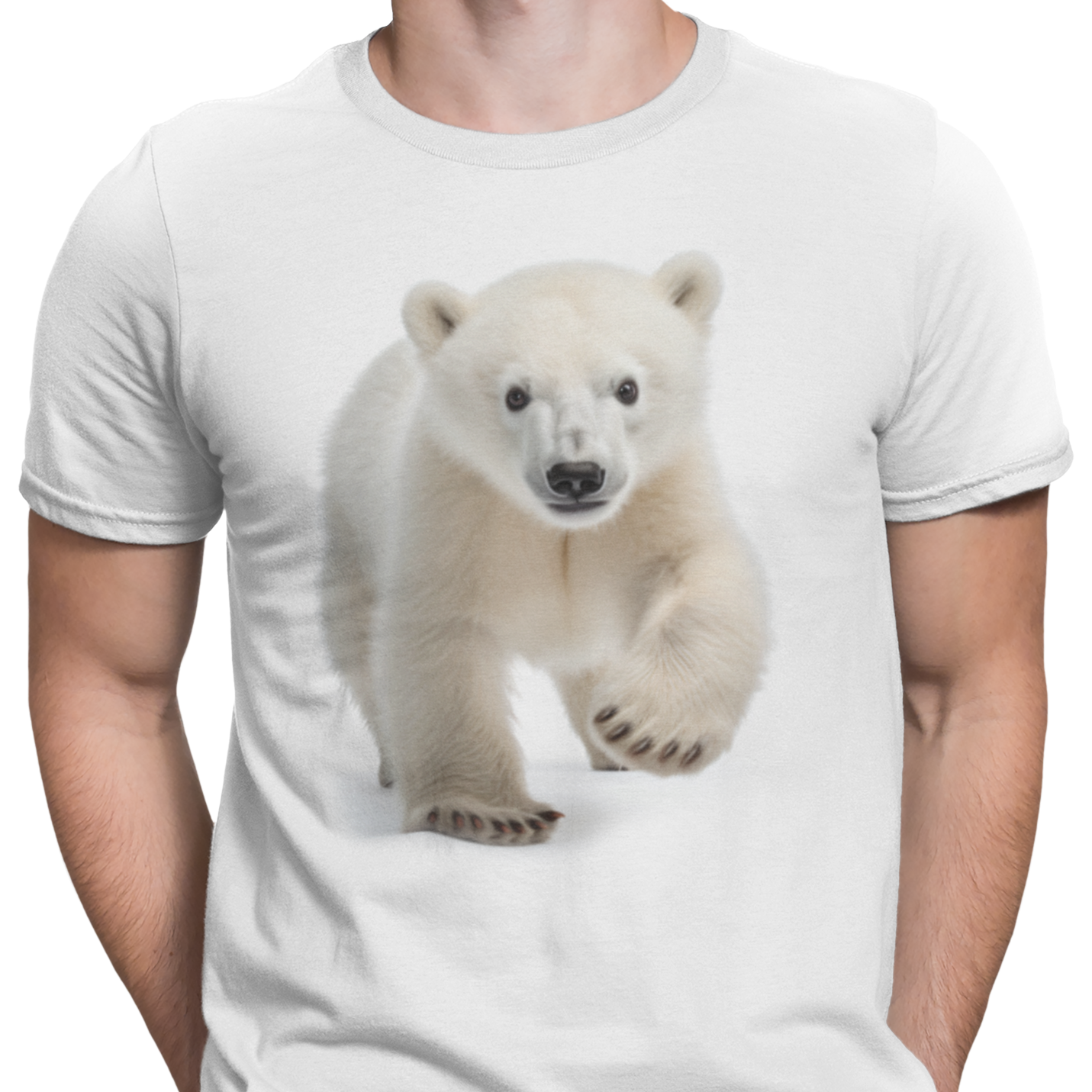 CAMISETA / SUDADERA CRIA OSO BLANCO