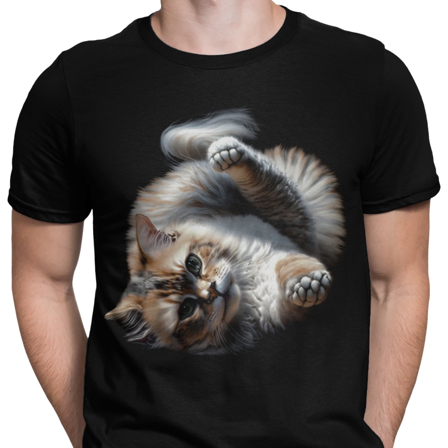 CAMISETA / SUDADERA GATO ANGORA