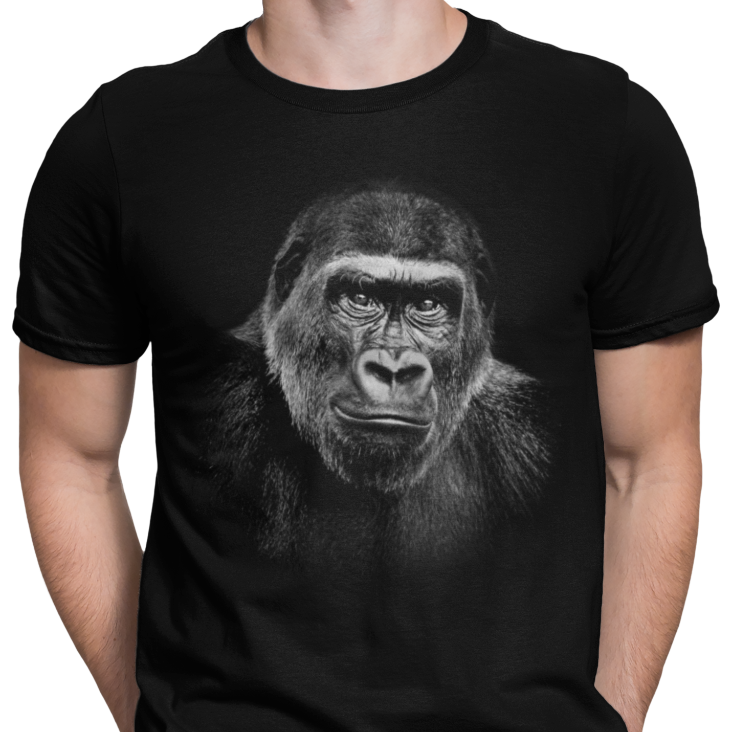 CAMISETA / SUDADERA GORILA