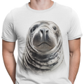 CAMISETA / SUDADERA FOCA