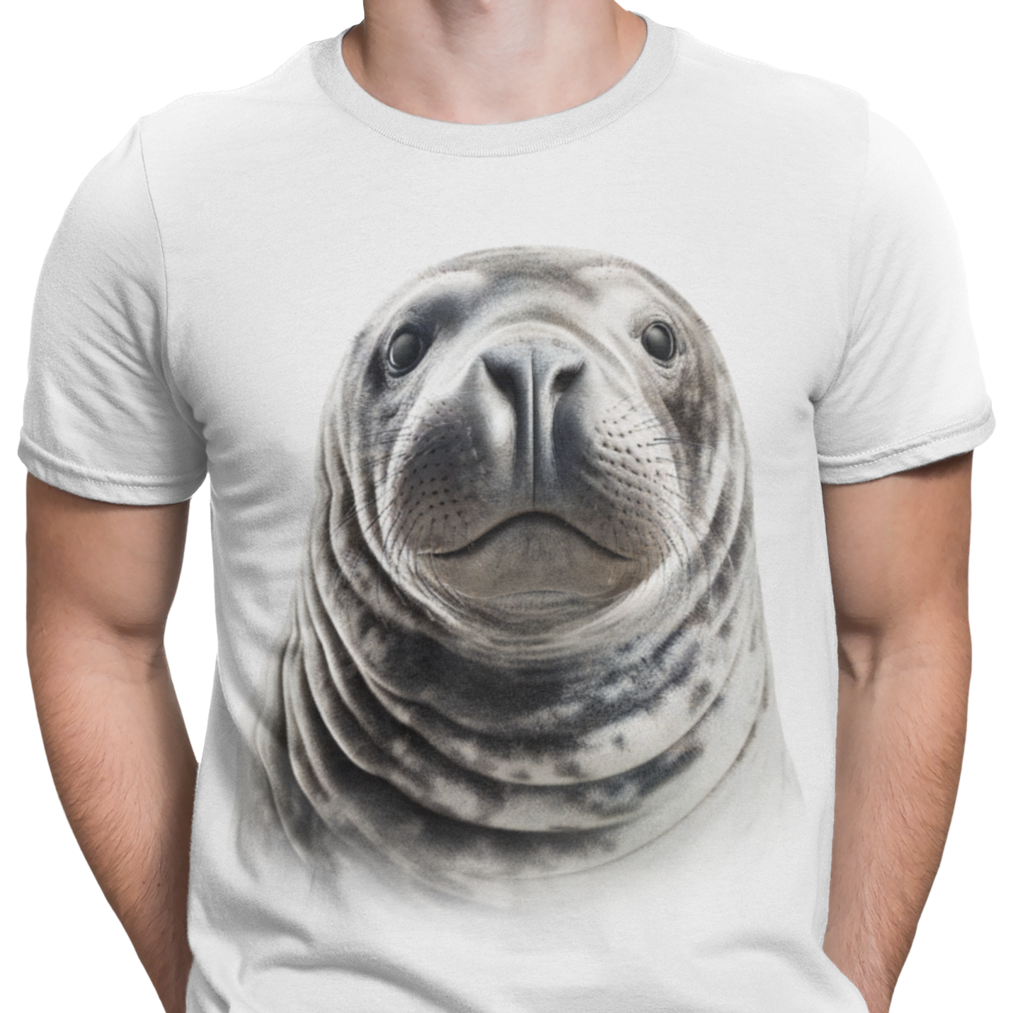 CAMISETA / SUDADERA FOCA