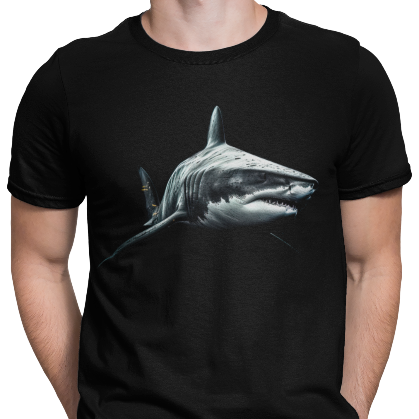 CAMISETA / SUDADERA TIBURON BLANCO