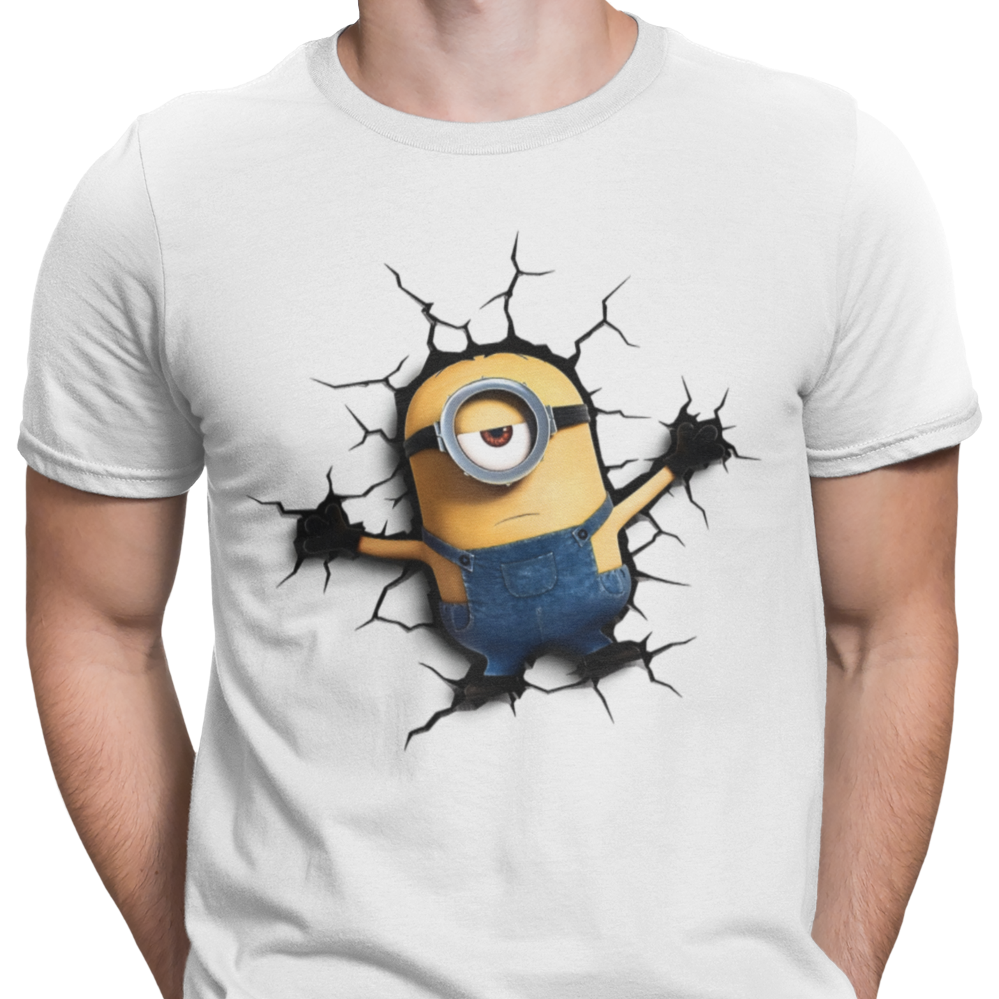 CAMISETA / SUDADERA MINIONS ESTRELLADO