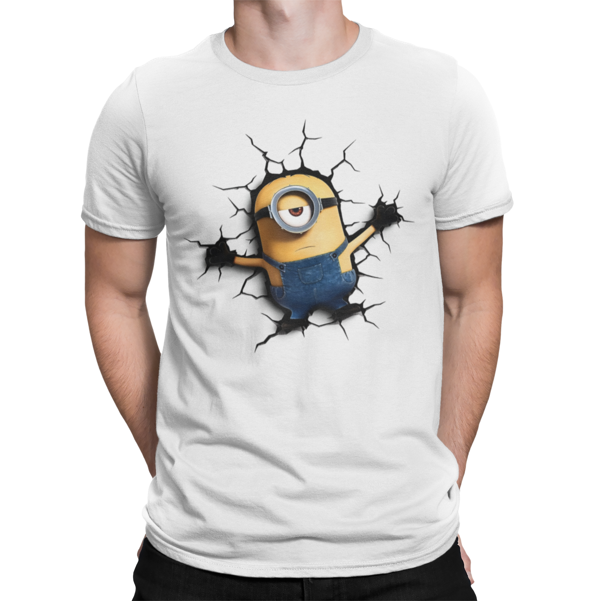 CAMISETA / SUDADERA MINIONS ESTRELLADO