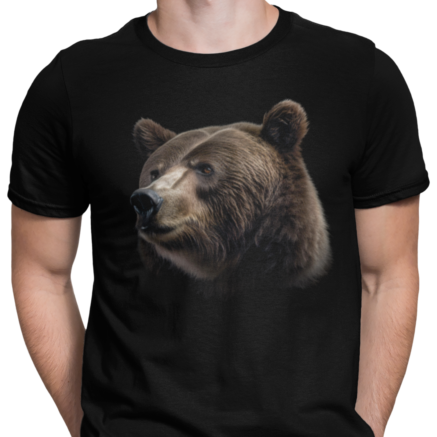 CAMISETA / SUDADERA OSO GRIZZLY