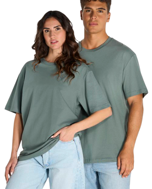CAMISETA / SUDADERA COCHES FORMUSTANG SHEL RV