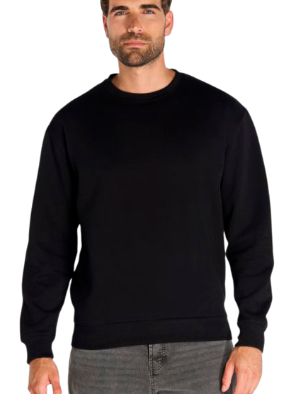 CAMISETA / SUDADERA COCHES FORMUSTANG SHEL RV