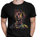 CAMISETA / SUDADERA COLORS
