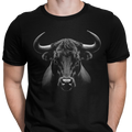 CAMISETA / SUDADERA TORO