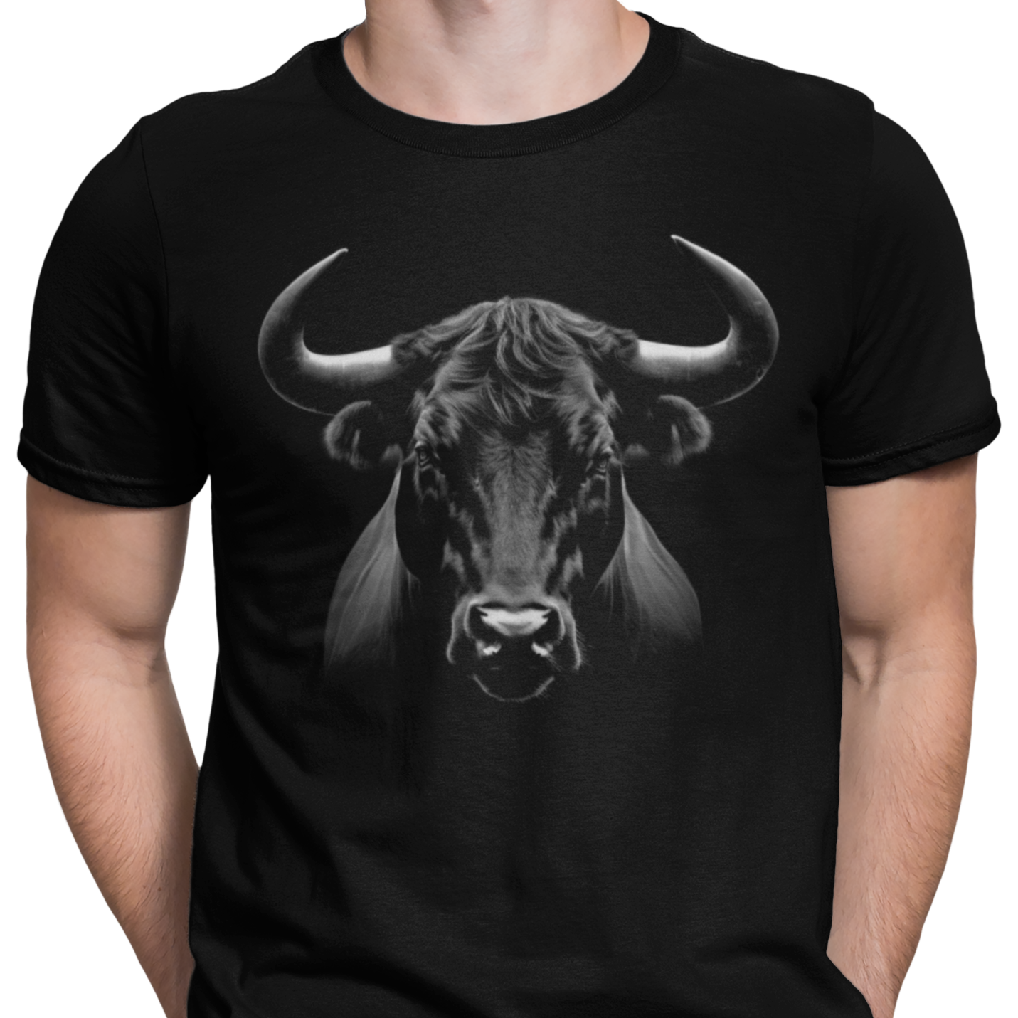 CAMISETA / SUDADERA TORO