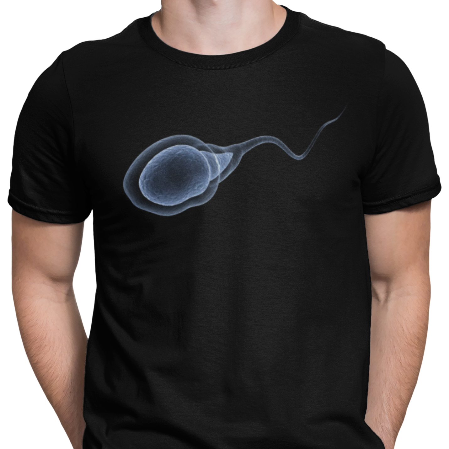 CAMISETA / SUDADERA ESPERMATOZOIDE